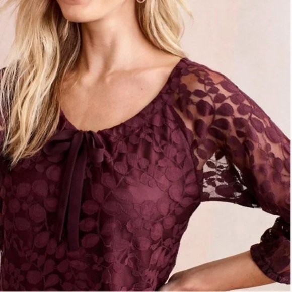 Garnet Hill Cranberry Boheme Easy Lace Overlay Midi Dress Size 16 - Picture 9 of 9